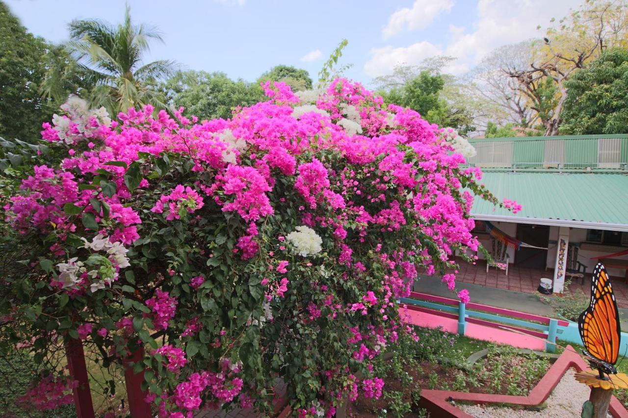 Hotel Marielos Tamarindo Exterior foto